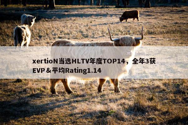 xertioN当选HLTV年度TOP14，全年3获EVP＆平均Rating1.14