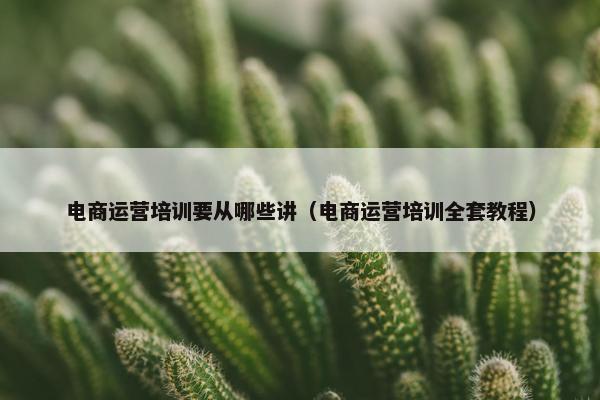 电商运营培训要从哪些讲（电商运营培训全套教程）