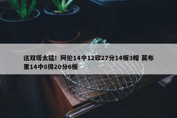 这双塔太猛！阿伦14中12砍27分14板3帽 莫布里14中8得20分6板