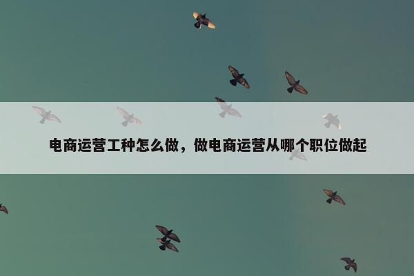 电商运营工种怎么做，做电商运营从哪个职位做起