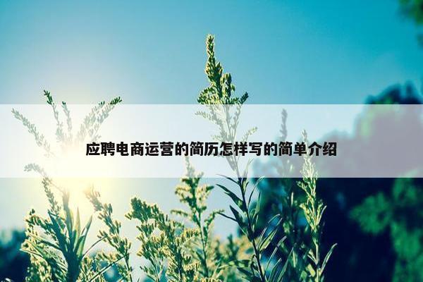 应聘电商运营的简历怎样写的简单介绍