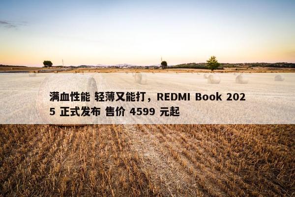 满血性能 轻薄又能打，REDMI Book 2025 正式发布 售价 4599 元起