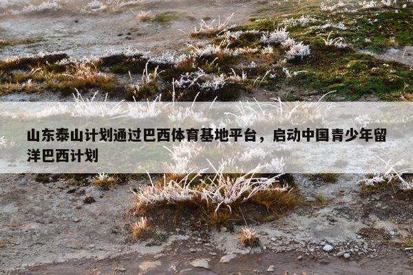 山东泰山计划通过巴西体育基地平台，启动中国青少年留洋巴西计划