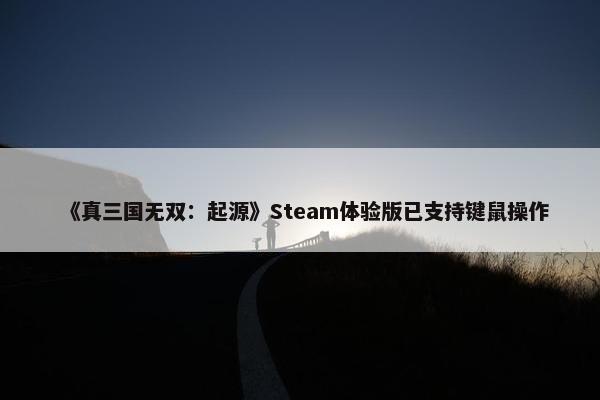 《真三国无双：起源》Steam体验版已支持键鼠操作