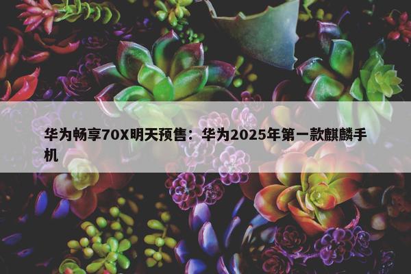 华为畅享70X明天预售：华为2025年第一款麒麟手机