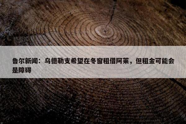 鲁尔新闻：乌德勒支希望在冬窗租借阿莱，但租金可能会是障碍