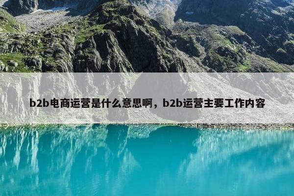 b2b电商运营是什么意思啊，b2b运营主要工作内容