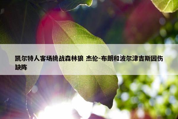 凯尔特人客场挑战森林狼 杰伦-布朗和波尔津吉斯因伤缺阵