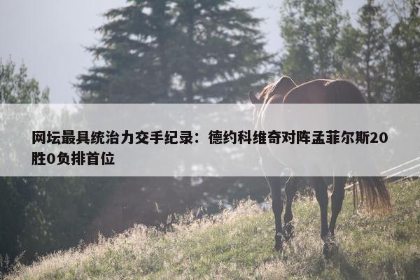 网坛最具统治力交手纪录：德约科维奇对阵孟菲尔斯20胜0负排首位