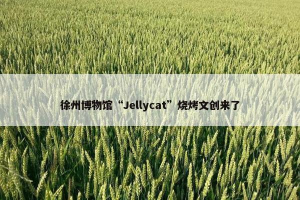 徐州博物馆“Jellycat”烧烤文创来了