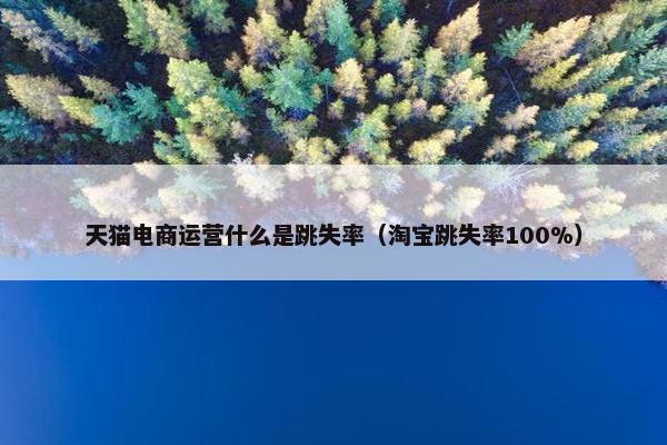 天猫电商运营什么是跳失率（淘宝跳失率100%）