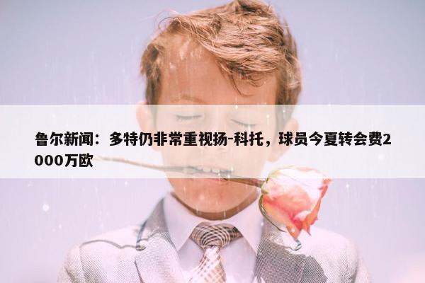 鲁尔新闻：多特仍非常重视扬-科托，球员今夏转会费2000万欧