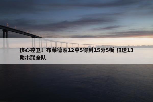 核心控卫！布莱德索12中5得到15分5板 狂送13助串联全队