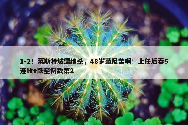 1-2！莱斯特城遭绝杀，48岁范尼苦啊：上任后吞5连败+跌至倒数第2