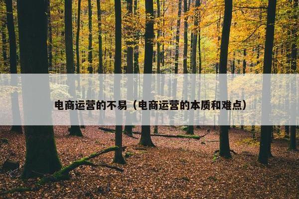 电商运营的不易（电商运营的本质和难点）