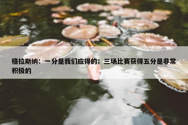 格拉斯纳：一分是我们应得的；三场比赛获得五分是非常积极的