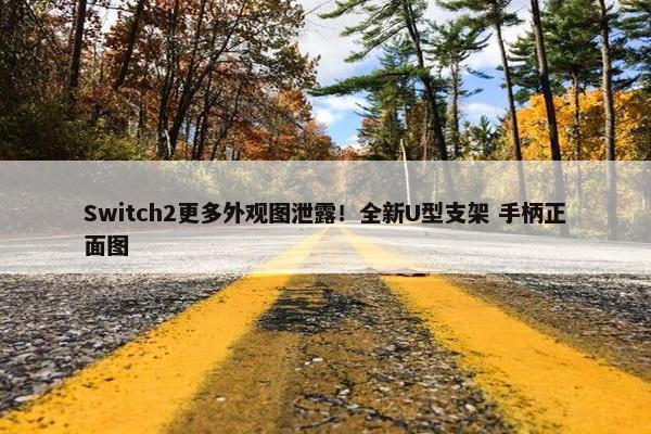 Switch2更多外观图泄露！全新U型支架 手柄正面图