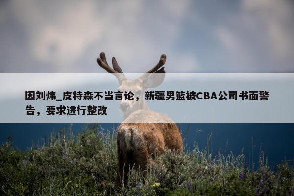 因刘炜_皮特森不当言论，新疆男篮被CBA公司书面警告，要求进行整改