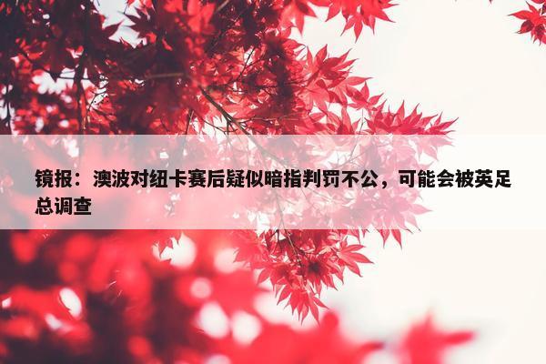 镜报：澳波对纽卡赛后疑似暗指判罚不公，可能会被英足总调查