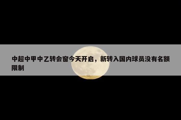 中超中甲中乙转会窗今天开启，新转入国内球员没有名额限制