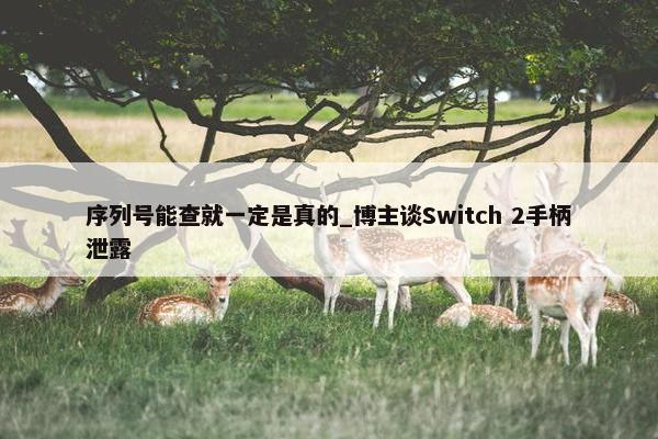 序列号能查就一定是真的_博主谈Switch 2手柄泄露