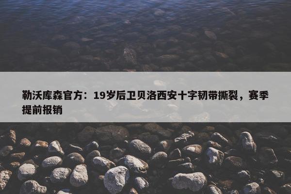 勒沃库森官方：19岁后卫贝洛西安十字韧带撕裂，赛季提前报销