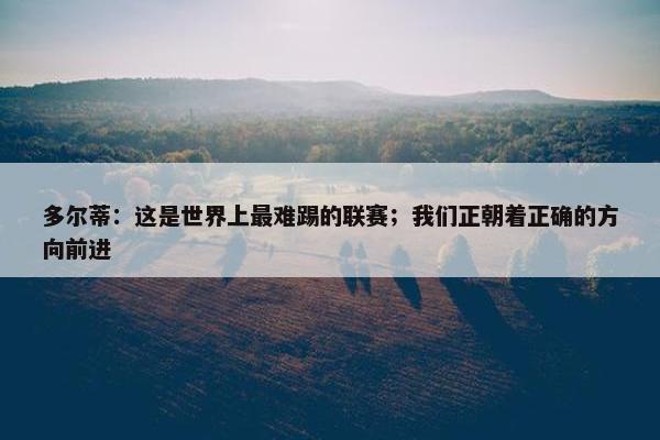 多尔蒂：这是世界上最难踢的联赛；我们正朝着正确的方向前进