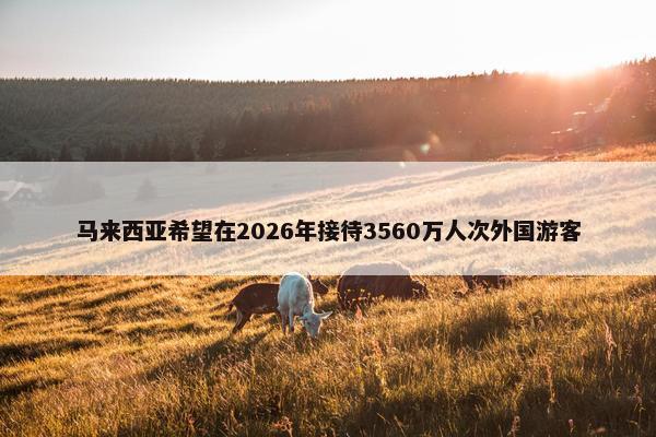 马来西亚希望在2026年接待3560万人次外国游客