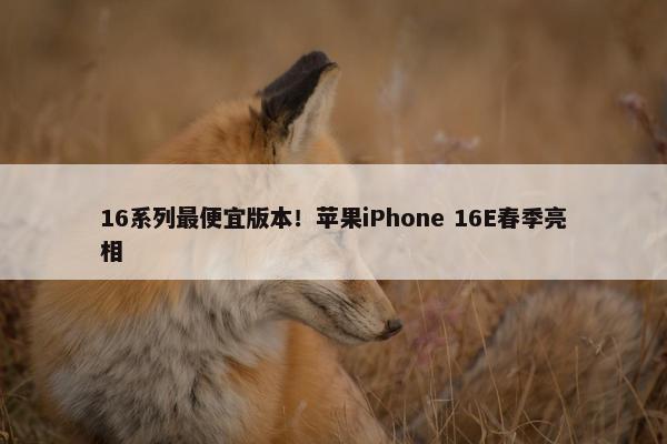 16系列最便宜版本！苹果iPhone 16E春季亮相