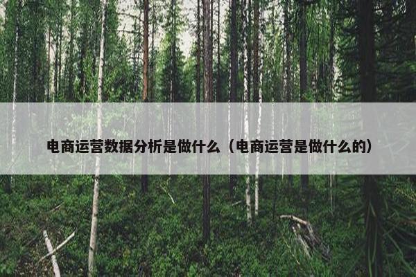 电商运营数据分析是做什么（电商运营是做什么的）