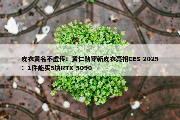 皮衣黄名不虚传！黄仁勋穿新皮衣亮相CES 2025：1件能买5块RTX 5090