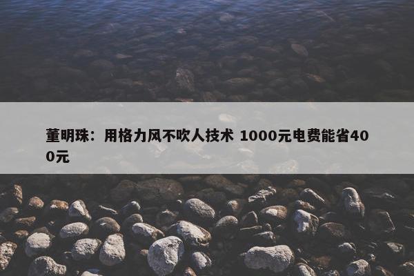 董明珠：用格力风不吹人技术 1000元电费能省400元