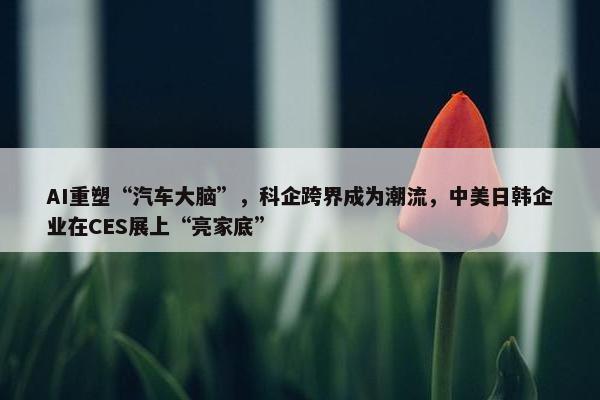 AI重塑“汽车大脑”，科企跨界成为潮流，中美日韩企业在CES展上“亮家底”