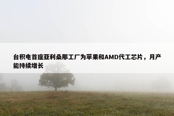 台积电首座亚利桑那工厂为苹果和AMD代工芯片，月产能持续增长