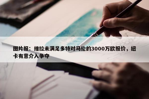 图片报：维拉未满足多特对马伦的3000万欧报价，纽卡有意介入争夺