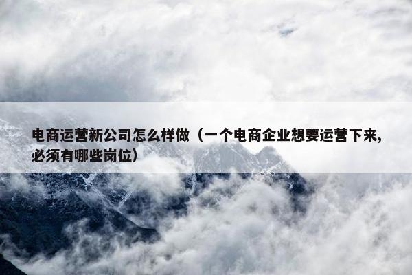 电商运营新公司怎么样做（一个电商企业想要运营下来,必须有哪些岗位）