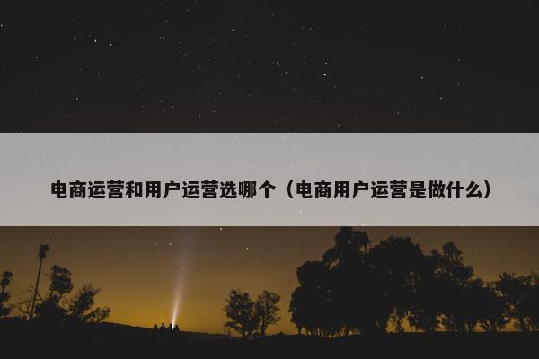 电商运营和用户运营选哪个（电商用户运营是做什么）