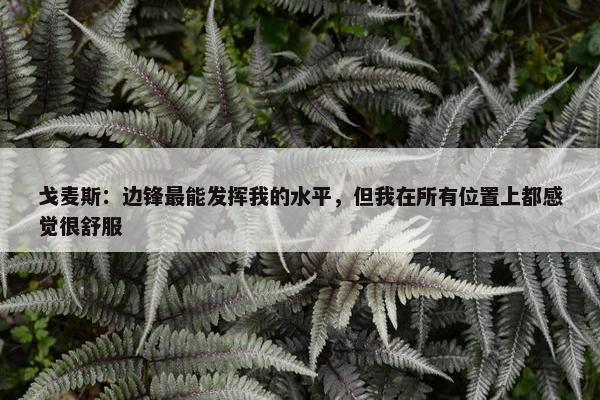 戈麦斯：边锋最能发挥我的水平，但我在所有位置上都感觉很舒服