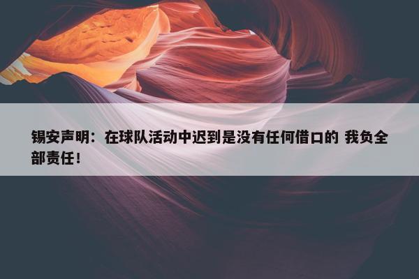 锡安声明：在球队活动中迟到是没有任何借口的 我负全部责任！