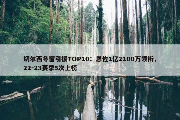 切尔西冬窗引援TOP10：恩佐1亿2100万领衔，22-23赛季5次上榜