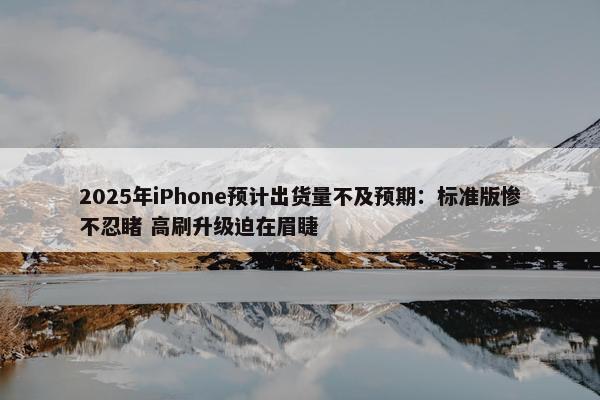 2025年iPhone预计出货量不及预期：标准版惨不忍睹 高刷升级迫在眉睫