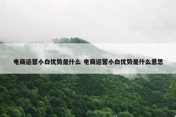 电商运营小白优势是什么 电商运营小白优势是什么意思