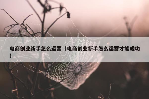 电商创业新手怎么运营（电商创业新手怎么运营才能成功）