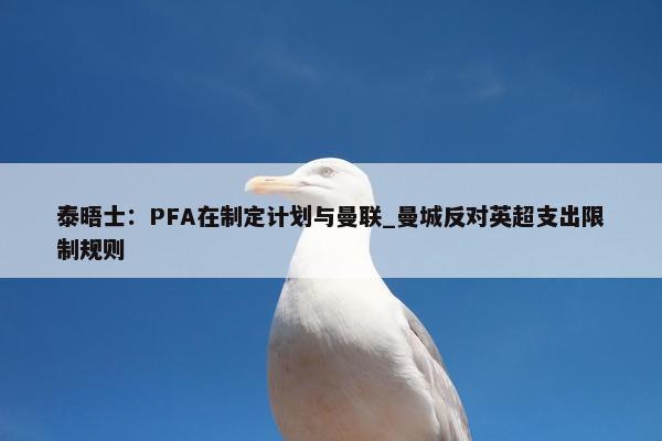 泰晤士：PFA在制定计划与曼联_曼城反对英超支出限制规则