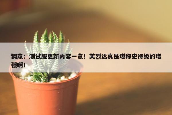 钢岚：测试服更新内容一览！芙烈达真是堪称史诗级的增强啊！