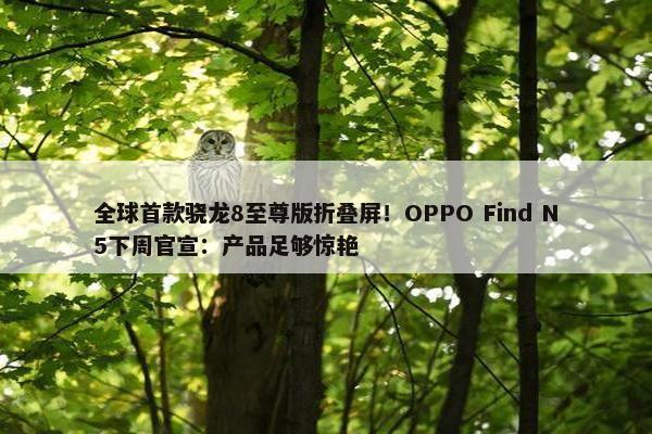 全球首款骁龙8至尊版折叠屏！OPPO Find N5下周官宣：产品足够惊艳