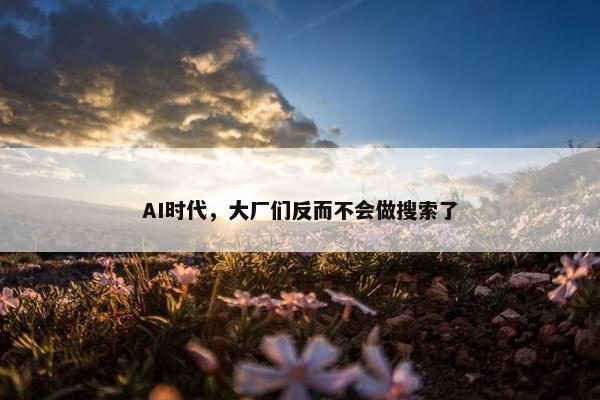 AI时代，大厂们反而不会做搜索了