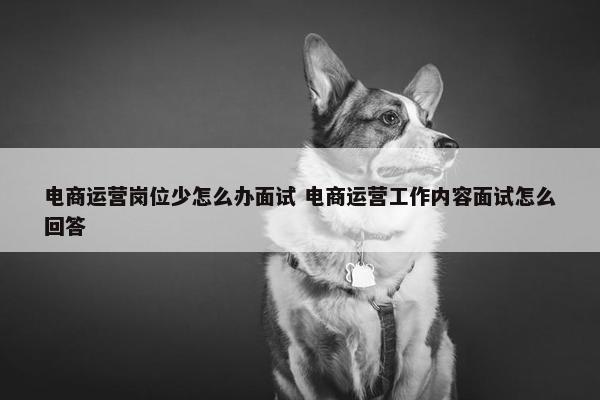 电商运营岗位少怎么办面试 电商运营工作内容面试怎么回答