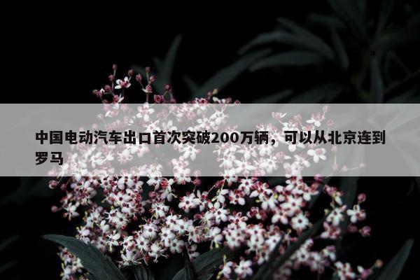 中国电动汽车出口首次突破200万辆，可以从北京连到罗马