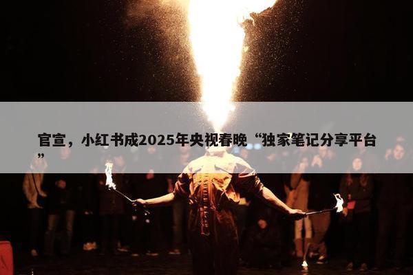 官宣，小红书成2025年央视春晚“独家笔记分享平台”